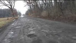 Морський леопард - небезпечний і жахливий (леопард) Морський леопард - небезпечний і жахливий