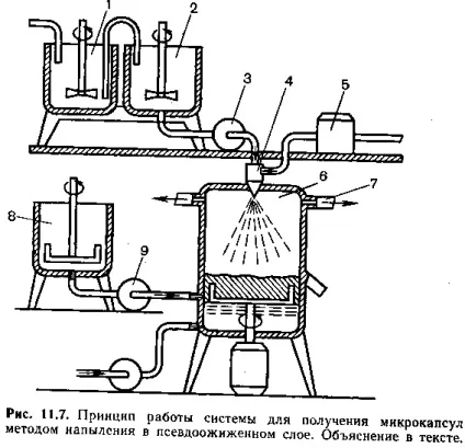 Мікрокапсули (microcapsulae)