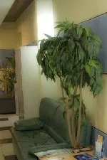 Морський медичний центр, межовий канал, 5, цоколь, бц балтійський морський центр (морської) Морський медичний центр, межовий канал, 5, цоколь, бц балтійський морський центр