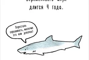 Морський леопард - небезпечний і жахливий (леопард) Морський леопард - небезпечний і жахливий