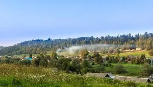 Морський леопард - небезпечний і жахливий (леопард) Морський леопард - небезпечний і жахливий