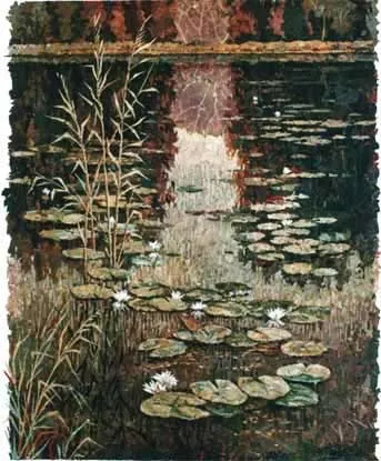 Mysea, ненюфари