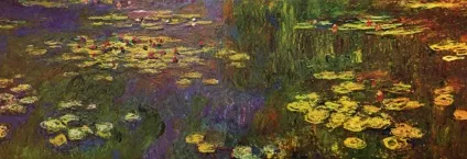 Mysea, ненюфари