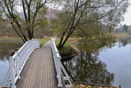 Музей-заповідник тархани в Пензенської області (музей-заповідник тархани в Пензенської області) Музей-заповідник тархани в Пензенської області