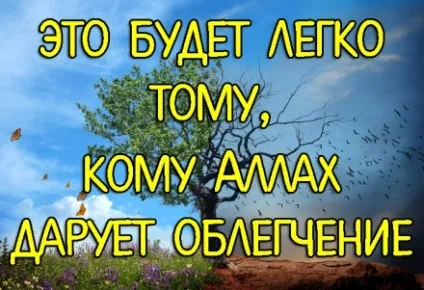 Народи ісламу вУкаіни