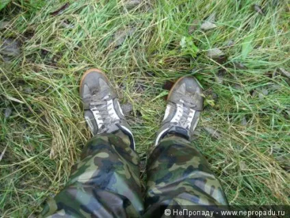 Наше фсёё або ще раз про неопрене (Наше фсёё неопрене) Наше фсёё або ще раз про неопрене