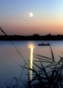 Нічна ловля ляща коропа сазана на донку з гумовим амортизатором (ловля) Нічна ловля ляща коропа сазана на донку з гумовим амортизатором