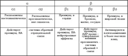 Норадреналін - гормон хижаків, clevermindru (як підвищити норадреналін) Норадреналін - гормон хижаків, clevermindru