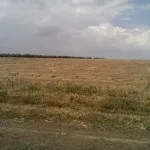 Зразок договору завдатку при купівлі будинку із земельною ділянкою (зразок) (договір) Зразок договору завдатку при купівлі будинку із земельною ділянкою (зразок)