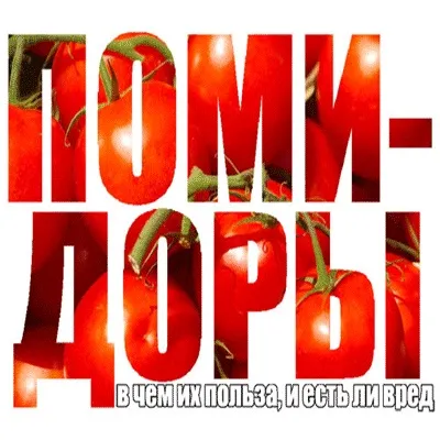 Про величезну користь і можливу шкоду помідорів, рецепт здоров'я (здоров'я) Про величезну користь і можливу шкоду помідорів, рецепт здоров'я