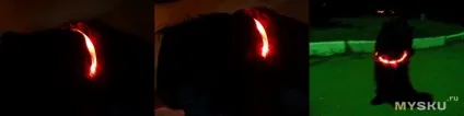 Огляд силіконового світлодіодного світиться нашийника для собак, з usb зарядкою (зарядкою) Огляд силіконового світлодіодного світиться нашийника для собак, з usb зарядкою