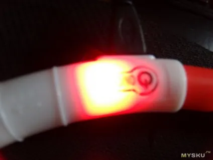 Огляд силіконового світлодіодного світиться нашийника для собак, з usb зарядкою (зарядкою) Огляд силіконового світлодіодного світиться нашийника для собак, з usb зарядкою