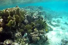 Відгуки про готелі fam hotel & amp; resort marsa alam 4 (Марса алам) (готелі) Відгуки про готелі fam hotel & amp; resort marsa alam 4 (Марса алам)