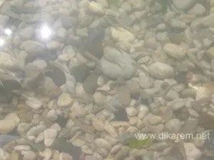 Відпочинок в місті курорті Щолкіно! Дивовижний крим - подорож на мис казантип, відгуки, фото (відпочинок) Відпочинок в місті курорті Щолкіно! Дивовижний крим - подорож на мис казантип, відгуки, фото