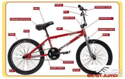 Основні частини bmx і історія, екстремальні види спорту вУкаіни (основні) Основні частини bmx і історія, екстремальні види спорту вУкаіни