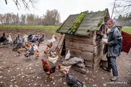 Вони живуть як відлюдники, доля фермерів (живуть) Вони живуть як відлюдники, доля фермерів