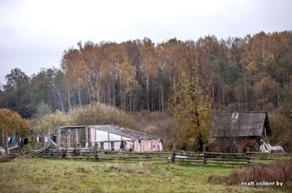 Вони живуть як відлюдники, доля фермерів (перші роки життя) Вони живуть як відлюдники, доля фермерів