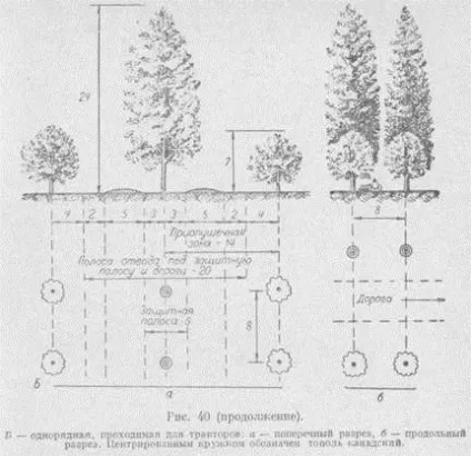 Організація території саду (високорослих деревних порід) Організація території саду
