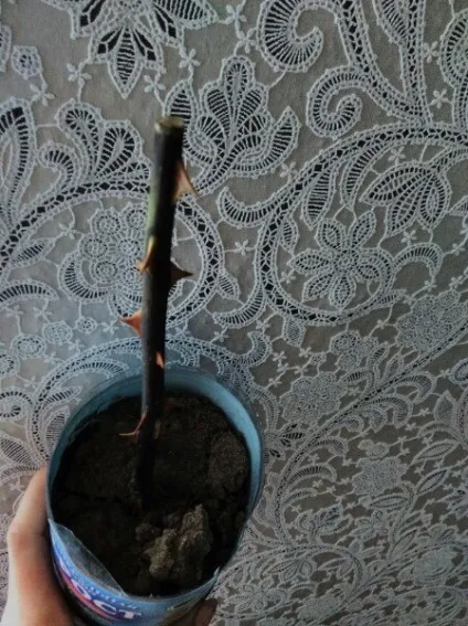 Він прийшов до неї на весілля з квітами в руках