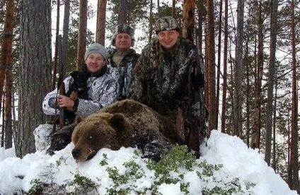 Полювання на ведмедя з собаками, на барлозі, овсах, з підходу (полювання) Полювання на ведмедя з собаками, на барлозі, овсах, з підходу
