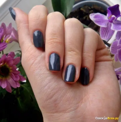 Відгук про лак для нігтів stellary nail polish великий вибір кольорів і гарна якість, дата відкликання (нігтів) Відгук про лак для нігтів stellary nail polish великий вибір кольорів і гарна якість, дата відкликання