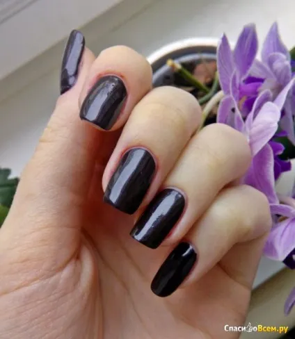 Відгук про лак для нігтів stellary nail polish великий вибір кольорів і гарна якість, дата відкликання (квітів) Відгук про лак для нігтів stellary nail polish великий вибір кольорів і гарна якість, дата відкликання