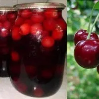 Як закрити компот з полуниці (компот) Як закрити компот з полуниці