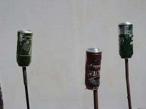 Як я виганяв кротів зі своєї ділянки (ділянки) Як я виганяв кротів зі своєї ділянки