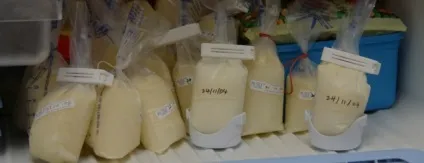 Як зберігати і підігріти зціджене грудне молоко (зціджене) Як зберігати і підігріти зціджене грудне молоко