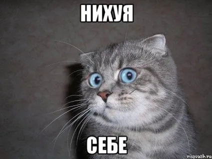 Як я свого колегу прав позбавив (колегу) Як я свого колегу прав позбавив