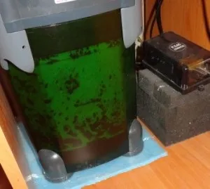 Підготовка і правильний запуск нового акваріума з чого почати - покрокова інструкція - великі