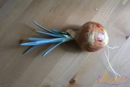 Виріб з лука