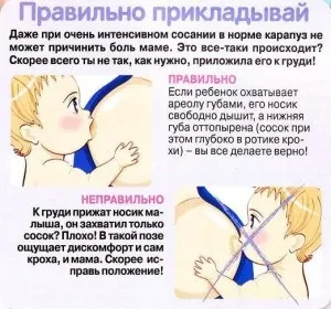 Правильне грудне вигодовування 6 основоположних принципів