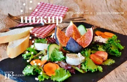 Користь і шкода інжиру і його корисні властивості, блог Ірини Зайцевої (шкода) Користь і шкода інжиру і його корисні властивості, блог Ірини Зайцевої