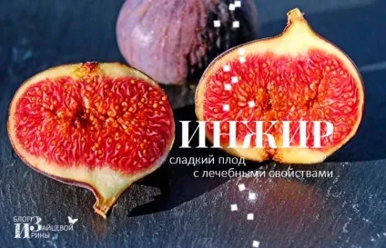Користь і шкода інжиру і його корисні властивості, блог Ірини Зайцевої (шкода) Користь і шкода інжиру і його корисні властивості, блог Ірини Зайцевої