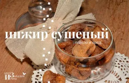 Користь і шкода інжиру і його корисні властивості, блог Ірини Зайцевої (користь і шкода інжиру і його корисні властивості) Користь і шкода інжиру і його корисні властивості, блог Ірини Зайцевої