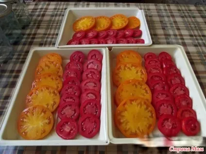 Помідори ріо гранде