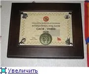 Призи та нагороди на б ви хотіли отримати (хенлінг)