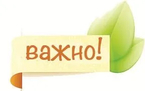 Приправа зіра - секрети застосування в кулінарії - my life (зіра) Приправа зіра - секрети застосування в кулінарії - my life