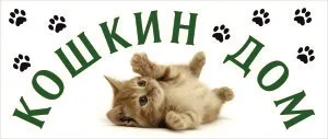 Притулок кішок донорів котячий будинок (кошкин) Притулок кішок донорів котячий будинок