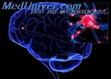 Преморбідні особливості особистості (хворих перебували нашим) Преморбідні особливості особистості