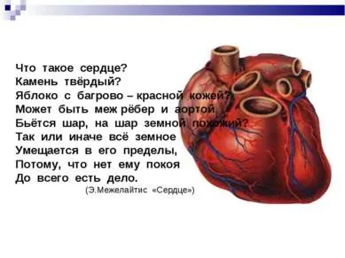 Презентація - серцево-судинні захворювання - завантажити безкоштовно