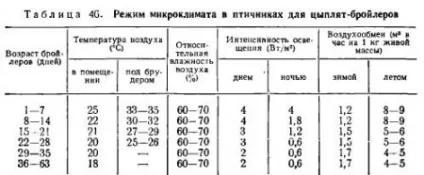 Виробництво м'яса бройлерів - все про тваринництво (вирощування) Виробництво м'яса бройлерів - все про тваринництво