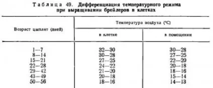 Виробництво м'яса бройлерів - все про тваринництво (бройлерів)