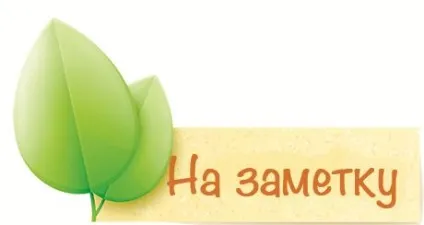 Приправа зіра - секрети застосування в кулінарії - my life (кулінарії) Приправа зіра - секрети застосування в кулінарії - my life