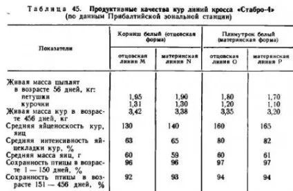 Виробництво м'яса бройлерів - все про тваринництво (час) Виробництво м'яса бройлерів - все про тваринництво