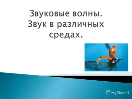 Презентація на тему що таке хвиля наведіть приклади механічних хвиль (хвиля) Презентація на тему що таке хвиля наведіть приклади механічних хвиль