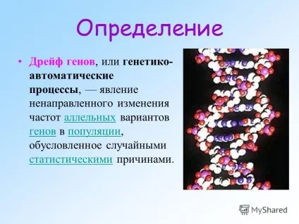 Презентація на тему дрейф генів (або генетико автоматичні процеси) Презентація на тему дрейф генів
