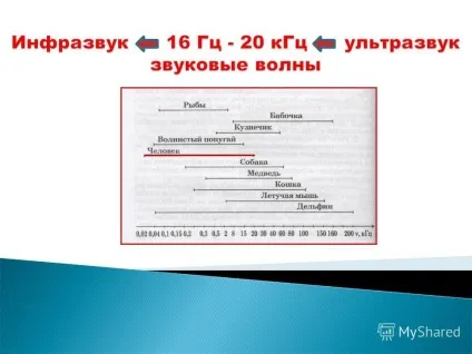 Презентація на тему що таке хвиля наведіть приклади механічних хвиль (поздовжніми? Що розуміють під швидкістю хвилі? Що таке довжина.) Презентація на тему що таке хвиля наведіть приклади механічних хвиль