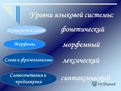 Презентація на тему урок української мови в 10 класі тема система мови (тему) Презентація на тему урок української мови в 10 класі тема система мови